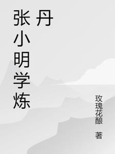 张小明西游记